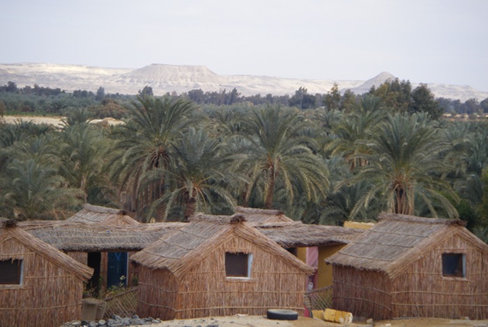 More huts at the camp in Bawiti.