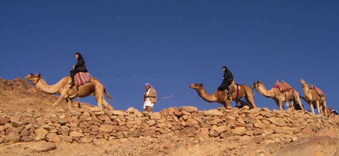 Nuns on camels!