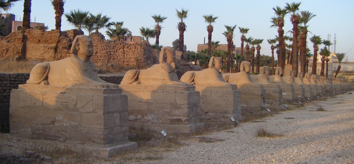 The Avenue of the Sphinxes at Luxor Temple. Originally there were Sphinxes all the way to Karnak Temple, 3 km away.