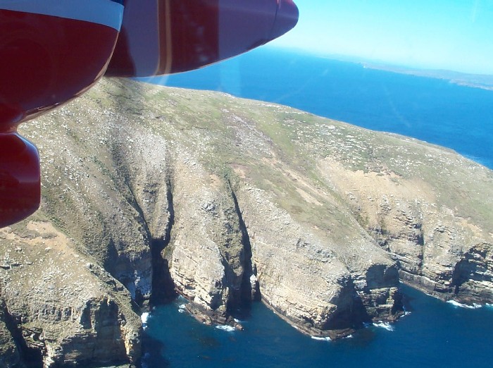 Falkland Island cliffs from a FIGAS mail plane.