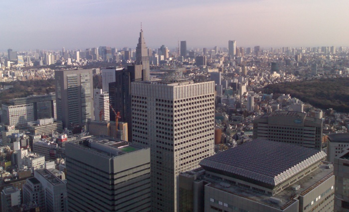 The view from the top of the Tokyo Metropolitan Government Office.