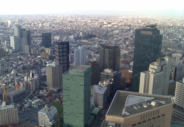 The view from the other side of the Tokyo Metropolitan Government Offices. I could see Mount Fuji from here; unfortunately it doesn't show in the photo.