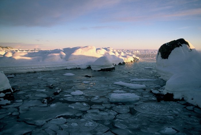 Pancake ice in a small cove at Carvajal.