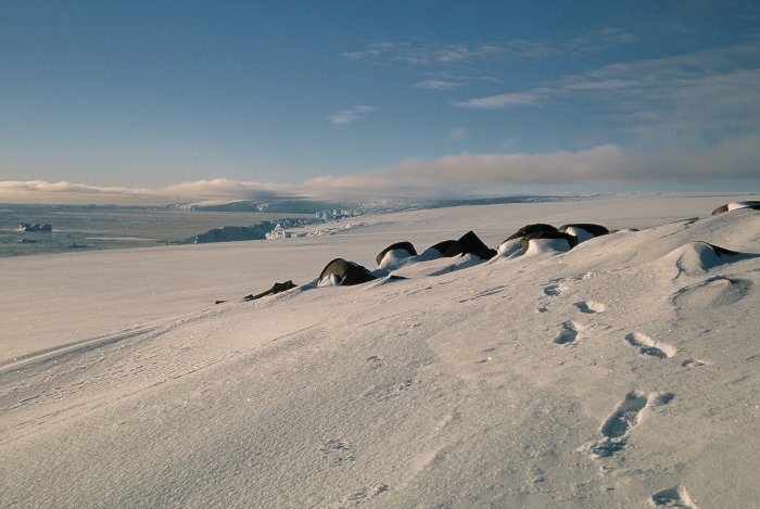 The top of the rubbish dump above the Chilean Carvajal base on Adelaide; the rubbish was left from when it was the British Adelaide Island base.