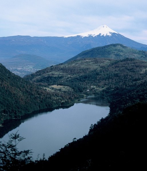 The volcano we climbed seen from a National Park close to Pucon.