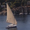 Feluccas sailing on the Nile seen from our hotel room window in Aswan.
