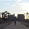 Alice in the Avenue of Sphinxes at Luxor Temple.