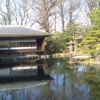 A modern tea house in the Shosei-en Garden - a peaceful place in the centre of Kyoto. Be careful though - the Lonely Planet guide said that it was a great place for a picnic, but when I turned up with a feast of Japanese food there were signs in English and a large security guard saying no food!