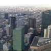 The view from the other side of the Tokyo Metropolitan Government Offices. I could see Mount Fuji from here; unfortunately it doesn't show in the photo.