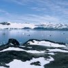 Looking south, towards Rothera, from the summit of Lagoon.