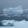 Ice bergs off Rothera Point on a snowy day in September.