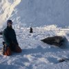 A Weddell seal and myself on the sea ice at Halley on my post-Midwinter trip.