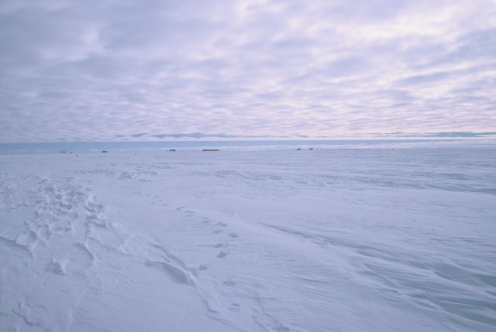 Halley from the VLF experiment antenna, out to the east of the base.